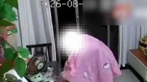 电竞战队选手夺冠，品牌赞助商受益